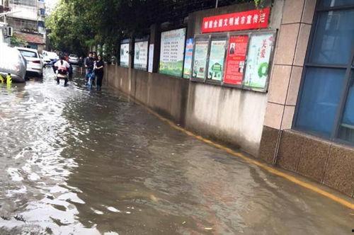 解放路学校爆料视频最新,揭秘校园内幕,引发社会关注 第2张 解放路学校爆料视频最新,揭秘校园内幕,引发社会关注 第2张