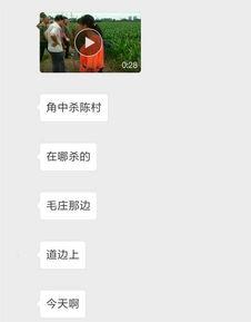 藁城网友爆料最新新闻,最新突发事件引发关注 第2张 藁城网友爆料最新新闻,最新突发事件引发关注 第2张